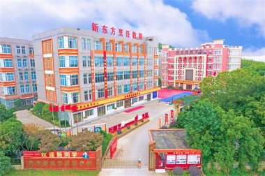 �����c(di��n)�������|����W(xu��)10����T��(w��n)�}���ɡ�