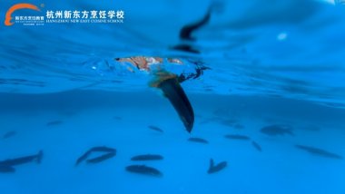 ��ú�ح�����|�����i������Ȥζ���Բ��ԵĲ���Ҫ����Ҫ�����~